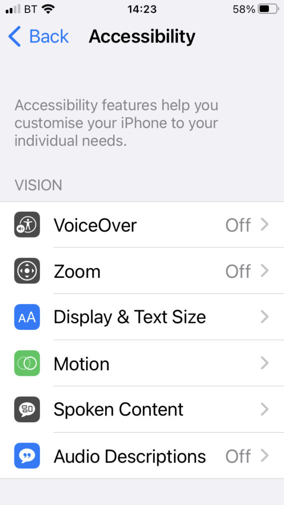 Set up voice control and Siri on an iPhone for Blind and visually